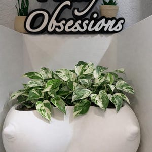 May include: A white, breast-shaped planter filled with a green and white variegated plant. The planter is mounted on a white wall. Above the planter is a sign that reads "Planty Obsessions" in a whimsical font.