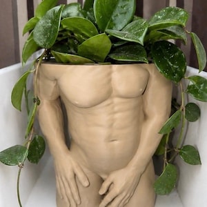 May include: A beige, sculpted planter in the shape of a muscular torso. The planter is filled with green leafy plants. The arms are bent, and the hands are resting near the legs. The plant's leaves are a deep green color.