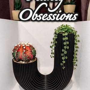 May include: A black, U-shaped planter with a colorful cactus and trailing green plant. The planter has a ribbed design. The sign above reads "Planty Obsessions" in a script font.