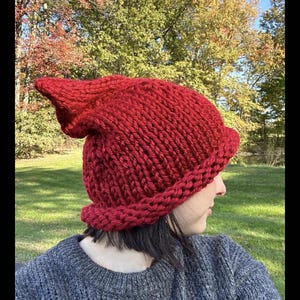 Hand Knit Gnome Hat: Adult Red Pointy Resistance Cap