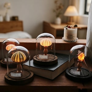Puede incluir: Cúpulas de cristal decorativas con erizos de mar iluminados y una concha sobre bases de madera. Los erizos de mar y la concha brillan desde dentro, creando un ambiente cálido. Las cúpulas están sobre una superficie de madera oscura, con una vela y un libro.