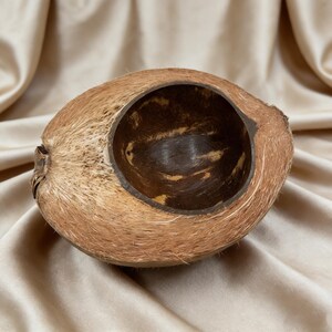 May include: A halved coconut shell, showcasing the natural brown husk and dark interior. The coconut's outer layer is fibrous, with a smooth, dark brown interior. The cut reveals the inner cavity, perfect for a decorative bowl or natural container.