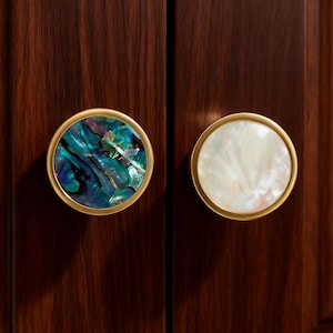 Brass Shell Decor Knobs: Round Drawer Pull for Cabinets