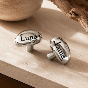 May include: Two polished silver-toned metal cabinet knobs with a smooth, rounded, pebble-like shape. Each knob features the name Luna engraved in a black serif font on the top surface, supported by a cylindrical base for mounting purposes.
