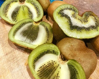 Kiwi Seeds - 100pcs Unique Shape - Easy Grow - Actinidia deliciosa - Exotic Fruit Vine for Garden & Pots