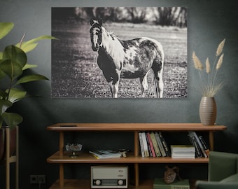 Black and White Horse Canvas Art, Photography Modern Farmhouse Decor Equestrian wall art