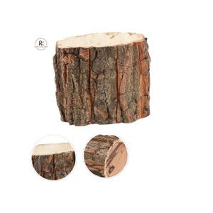 Op de afbeelding: Een cilindrische houten plantenbak, gemaakt van een deel van een boomstam. De schors is een mix van bruin en beige, met een ruw, getextureerd oppervlak. De binnenkant heeft een lichtere, natuurlijke houtkleur, ideaal voor kleine planten.