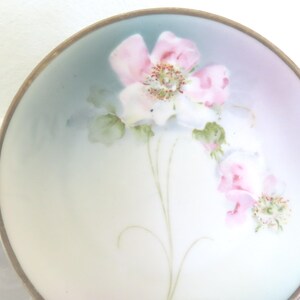 Vintage Bavaria Porcelain Plate: Hand Painted Pink Wild Roses Decor