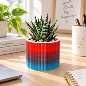 Può includere: Una pianta succulenta Haworthia con foglie verde scuro e strisce orizzontali bianche, piantata in un vaso cilindrico a coste verticali caratterizzato da una sfumatura di colore che passa dal rosso in alto al viola e blu in basso.