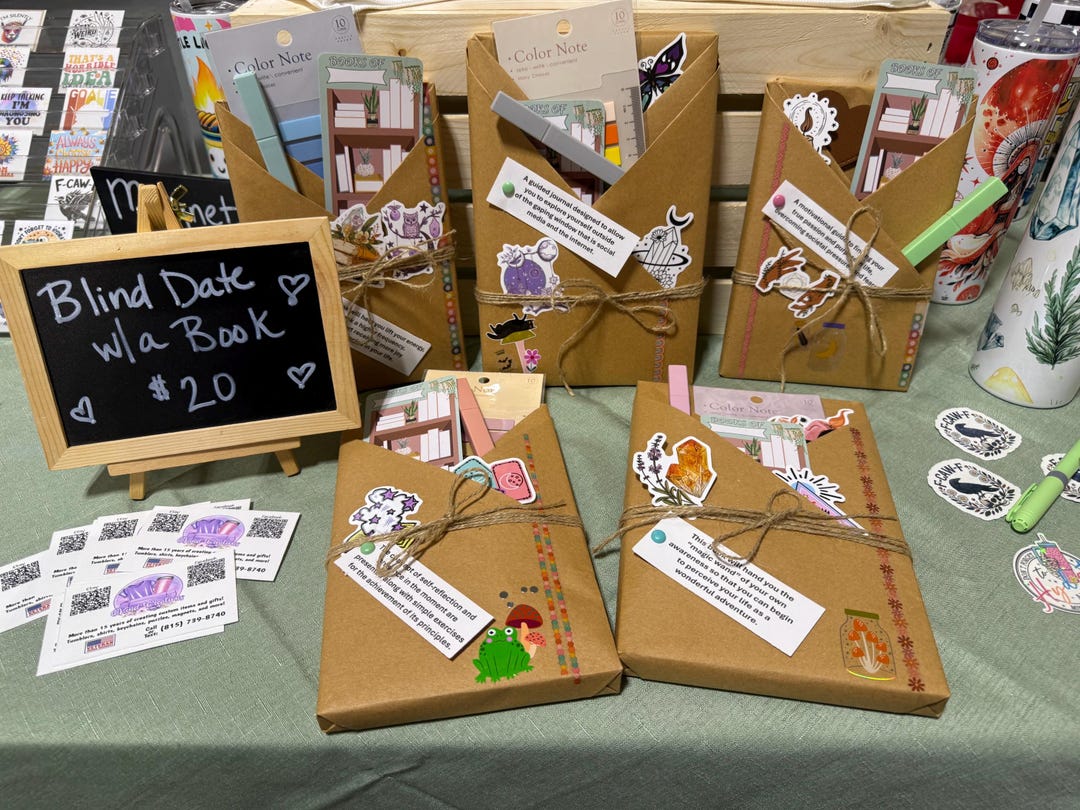 Blind Date With a Book – Mystery Surprise Book Gift – Wrapped Book With ...