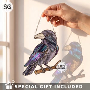 May include: A stained glass suncatcher shaped like a raven perched on a branch. The bird features iridescent purple, blue, and black glass panels with a light-colored beak. It hangs from a metal chain and includes a small tag labeled HOPPY LICENCE.