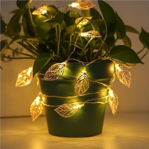 May include: A green potted plant adorned with a string of warm white LED lights shaped like gold leaves. The lights are wrapped around the plant and pot, creating a decorative display. The leaves have an open, filigree design.