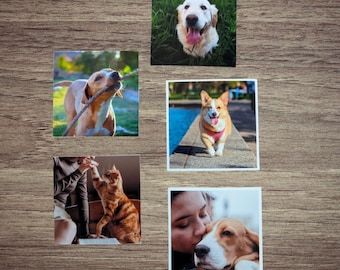 Custom Pet Photo Fridge Magnet. Personalized Picture Magnet