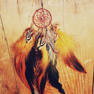May include: A red and white dreamcatcher with brown, black, and orange feathers hanging from a wooden surface.