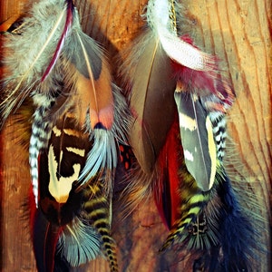 Red long feather earrings, valentines day, festival sexy feather earrings, grizzly earrings, black feathers image 5