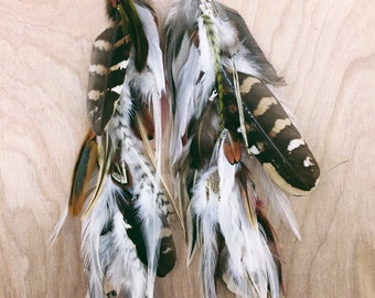 Natural Feather Hair Clip,12 inches, Extra Long Chain Feather Hair Extension-Natural Grizzly Feathers, Rooster Feathers