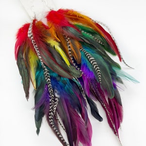 Dark gem classic rainbow feather earrings, pride earrings, long feather colorful rainbow earring, hair clip