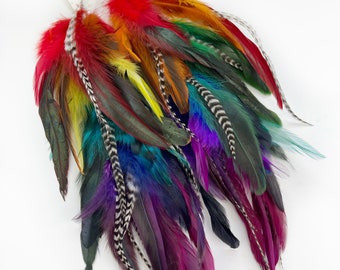 Dark gem classic rainbow feather earrings, pride earrings, long feather colorful rainbow earring, hair clip