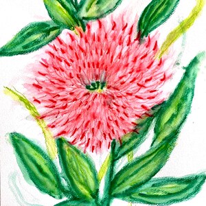May include: Watercolor painting of a vibrant red flower with a textured center and numerous red stamens. The flower is surrounded by bright green leaves and yellow stems, all set against a white background. The artwork is signed in the bottom right corner.