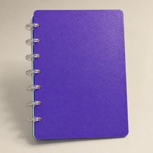 May include: A purple notebook with a textured cover and a clear plastic disc-bound spine. The notebook features a rectangular shape with rounded corners and a series of transparent circular discs along the left side that hold the pages together.