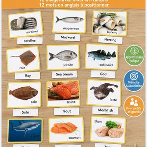 Peut inclure: Un jeu de 24 cartes éducatives intitulé LES POISSONS pour l'association français-anglais. Les cartes présentent des images photographiques de divers poissons comme la sardine, le maquereau, le hareng, la raie, la dorade, le cabillaud, la sole, la truite, la lotte, le requin, le saumon et le thon avec leurs noms respectifs.