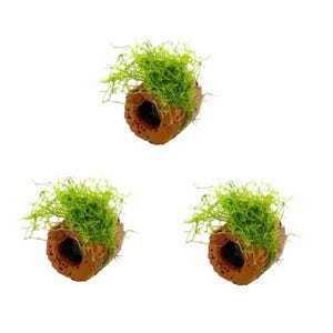 May include: Three aquarium ornaments. Each has a brown, log-shaped body with a dark hole and a tuft of bright green, moss-like plant material. The background is plain white. The ornaments are suitable for a fish tank.