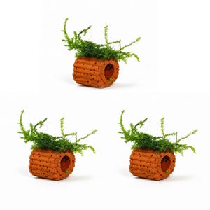 May include: Three small, terracotta-coloured, cylindrical structures with a hole in the side, each topped with vibrant green moss. The structures have a textured, ridged design, and are set against a white background.