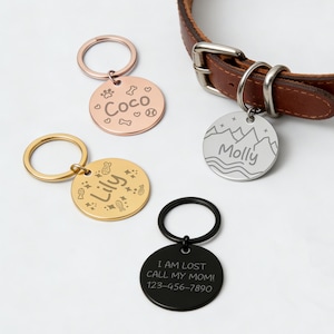 Personalized Stainless Steel Pet ID, Custom Engraved Dog Collar, Durable Name Tag