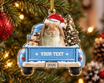Custom Pet Photo Christmas Ornament, Personalized Acrylic Pickup Truck with Names, Dog, Cat or Rabbit Keepsake