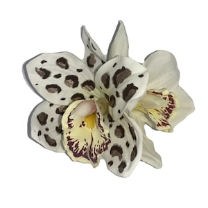 GINGER Double Leopard Print Orchid