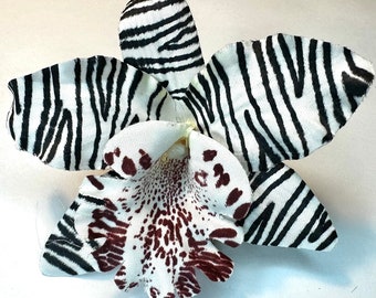 Mini Cymbidium Zebra Print Orchid Hair Flowers