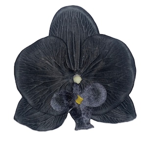 CLARA Flat Orchid Hair Flower - Black