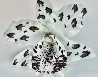 Mini Cymbidium Leopard Print Orchid Hair Flowers