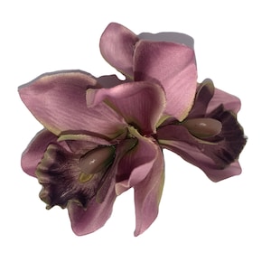 JENNI Double Cymbidium Orchid - Pink