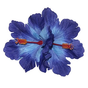Doppelte Hibiskus-Haar-Blume - Blau