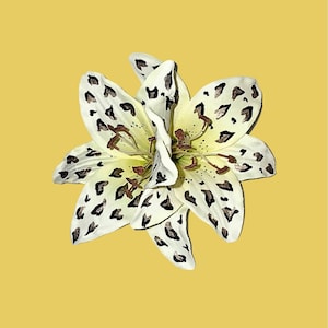 Hand Painted Leopard Print Double Lily Hair Flower
