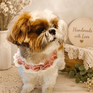 Könnte beinhalten: Ein kleiner braun-weißer Hund trägt ein gehäkeltes Haustierhalsband. Das Halsband hat einen gerüschten weißen Rand, eine strukturierte rosa und malvenfarbene Mitte und eine kleine dekorative Stoffrose an der Vorderseite. Der Hund hat langes Fell.