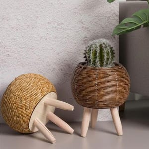 May include: A small, round, woven wicker planter with three wooden legs, holding a small cactus. Beside it, another similar planter is lying on its side. A gray sofa and a large green leaf are in the background.