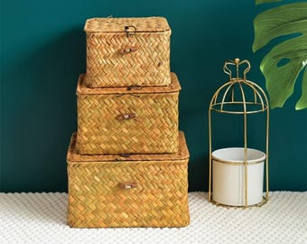Handwoven Willow Basket with Lid, Rustic Home Storage