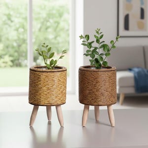 May include: Two cylindrical woven planters with plants, each supported by three light-colored wooden legs. The planters have a natural, light brown color and are filled with green leafy plants. The background includes a window and a glimpse of a living room.