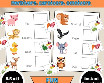Herbivore Omnivore Carnivore | Sort and Match | Kindergarten Activity | kid's learning Science Printable