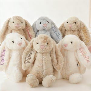 Può includere: Una collezione di coniglietti di peluche in vari colori, tra cui beige, bianco e grigio. Ogni coniglietto ha lunghe orecchie flosce e un naso rosa. I nomi sono ricamati sulle orecchie in diversi colori. I coniglietti sono disposti su una superficie bianca.