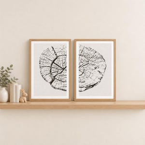 Tree Ring Wall Art, Single Print or Pair, A4 or A3 Unframed imagem 1