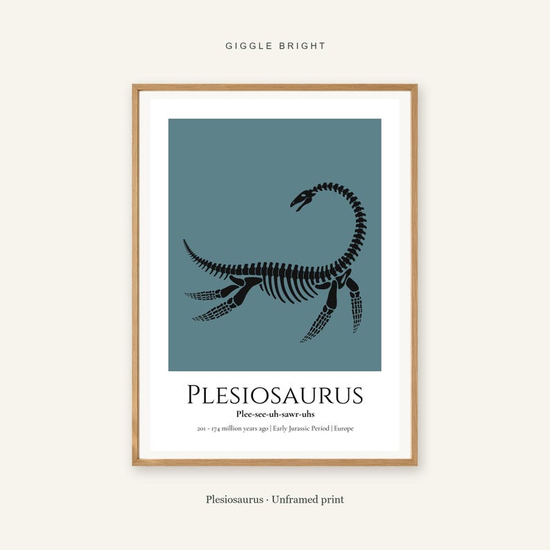 Plesiosaurus Skeleton Print, A4 or A3 Unframed Nursery Wall Art image 1