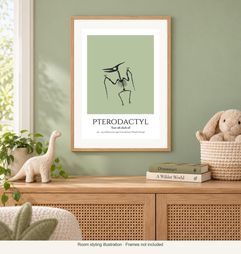 Puede incluir: Una l&aacute;mina enmarcada con la ilustraci&oacute;n de un esqueleto negro de pterod&aacute;ctilo sobre un fondo verde salvia. El texto dice PTERODACTYL, la pronunciaci&oacute;n fon&eacute;tica y datos hist&oacute;ricos que incluyen 150-145 millones de a&ntilde;os, Jur&aacute;sico Superior y Europa.