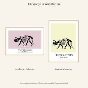Triceratops Dinosaur Wall Art, Skeleton Print, A4 or A3 Unframed imagen 11