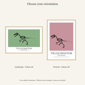 Puede incluir: Dos l&aacute;minas enmarcadas con una ilustraci&oacute;n de un esqueleto de Velociraptor negro. Una es horizontal con fondo verde, la otra vertical con fondo malva. Ambas incluyen el texto VELOCIRAPTOR, la pronunciaci&oacute;n y datos geol&oacute;gicos.