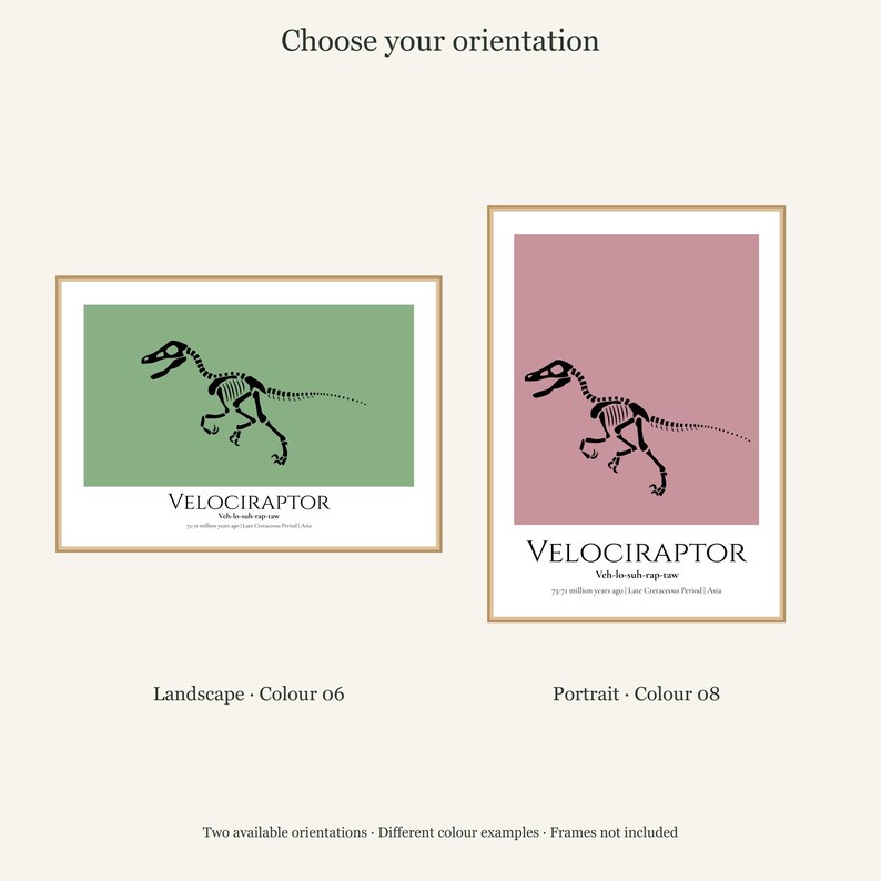Puede incluir: Dos l&aacute;minas enmarcadas con una ilustraci&oacute;n de un esqueleto de Velociraptor negro. Una es horizontal con fondo verde, la otra vertical con fondo malva. Ambas incluyen el texto VELOCIRAPTOR, la pronunciaci&oacute;n y datos geol&oacute;gicos.