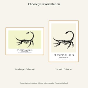 Plesiosaurus Skeleton Print, A4 or A3 Unframed Nursery Wall Art image 11