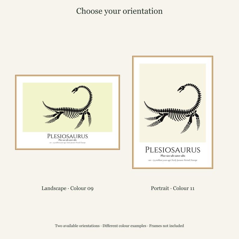Plesiosaurus Skeleton Print, A4 or A3 Unframed Nursery Wall Art image 11